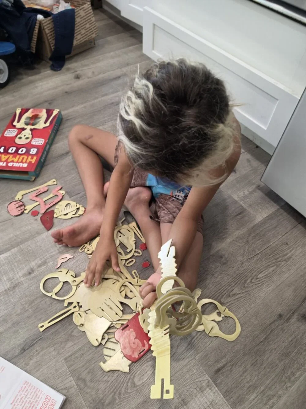 Build The Human Body Interactive Model Book With 66 Pieces & 32-Page Guide
